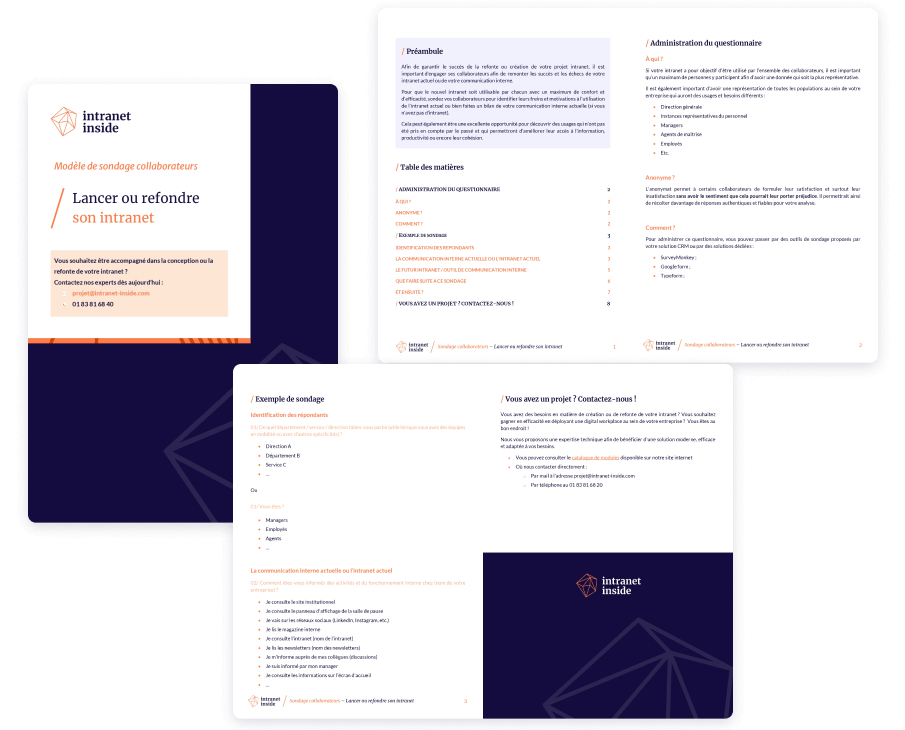 Pages de notre modèle de sondage collaborateurs - projet intranet